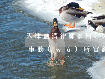 天津益清律師事務(wù)所(天津益清律師事務(wù)所官網(wǎng))