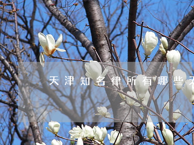 天津知名律所有哪些(天津最有名的律師)