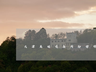天津离婚债务纠纷律师(塘沽离婚律师)