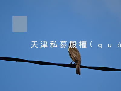 天津私募股權(quán)基金