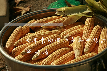 天津秉钧律师事务所杨涛(天津秉钧律师事务所杨涛)