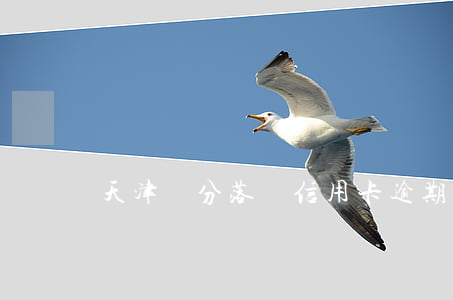 天津積分落戶信用卡逾期還款減分