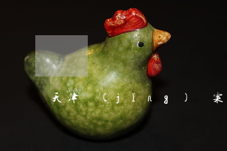天津經(jīng)濟案件最好的律所