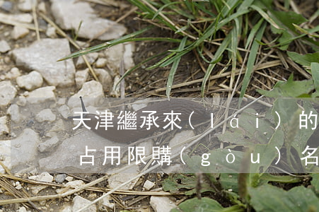 天津繼承來(lái)的房產(chǎn)占用限購(gòu)名額嗎(繼承的房產(chǎn)限售嗎)