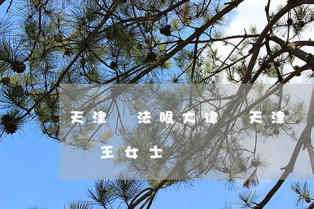 天津臺法眼大律師(天津臺法眼大律師全部視頻王女士)