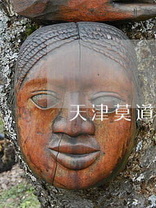 天津莫道律师事务所(天津莫道律师事务所)