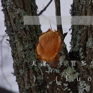 天津詐騙罪多少錢立案?(天津市網(wǎng)絡(luò)詐騙多少金額受理)
