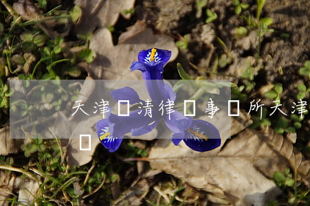 天津諾清律師事務所(天津諾清律師事務所介紹)