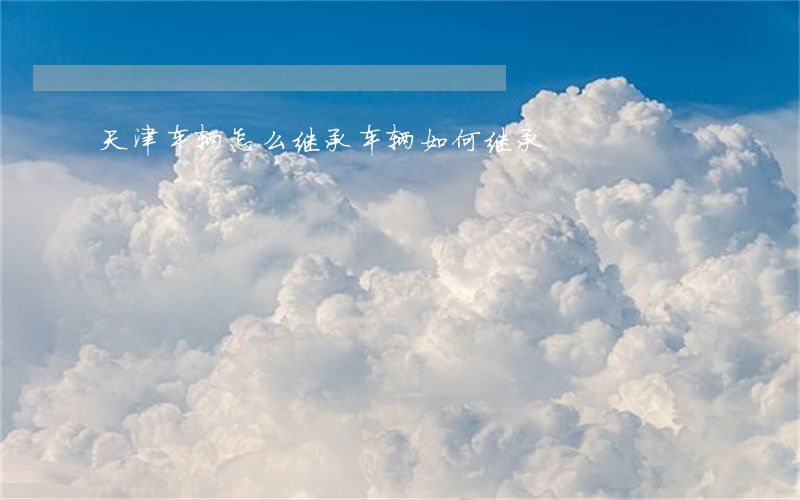 天津车辆怎么继承(车辆如何继承)