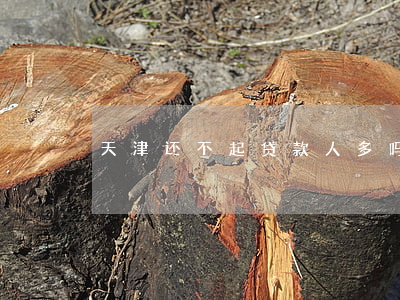 天津还不起贷款人多吗(天津的贷款政策)