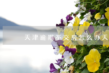 天津逾期不交房怎么办(天津逾期不交房怎么办房产证)