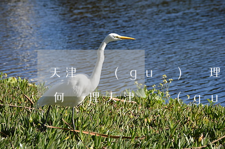 天津違規(guī)辦理的戶(hù)口如何處理(天津違規(guī)辦理的戶(hù)口如何處理)