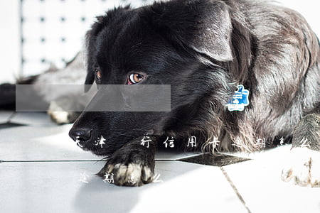 天津銀行信用卡逾期怎么處理(銀行對信用卡逾期怎么處理)