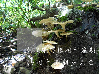 天津银行信用卡逾期多久会上门-天津银行信用卡逾期多久会上门催收