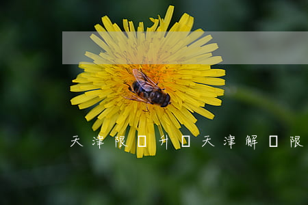 天津限購升級(天津解開限購)