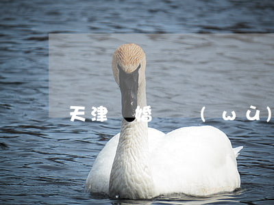 天津離婚債務(wù)糾紛律師(塘沽離婚律師)