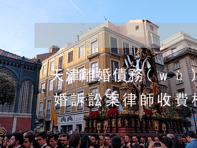 天津離婚債務(wù)糾紛律師收費標準(離婚訴訟案律師收費標準)