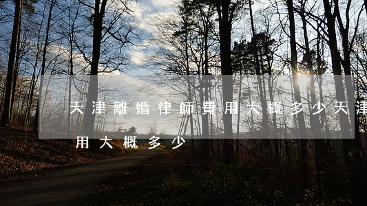 天津離婚律師費用大概多少(天津離婚律師費用大概多少)
