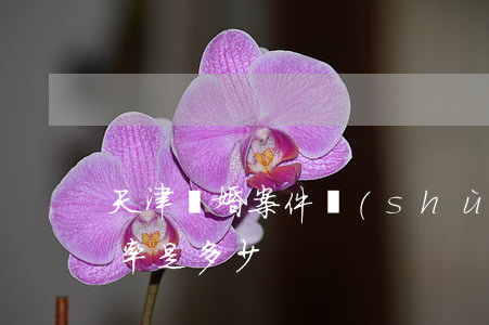 天津離婚案件數(shù)量(天津市的離婚率是多少)
