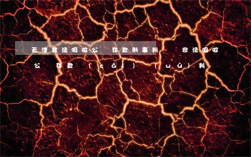 天津非法吸收公眾存款刑事判決書(非法吸收公眾存款財(cái)務(wù)判決書)