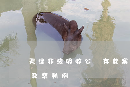 天津非法吸收公眾存款案例(非法吸收公眾存款案判例)