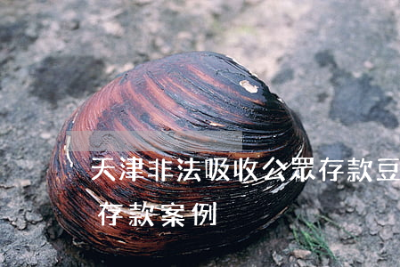 天津非法吸收公眾存款豆(天津非法吸收公眾存款案例)