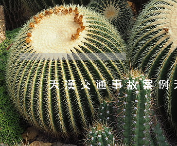 天漢交通事故案例(天漢交通事故案例)