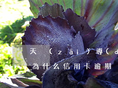 天災(zāi)導(dǎo)致信用卡逾期(為什么信用卡逾期)