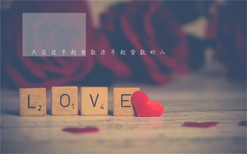 天灾还不起贷款(还不起贷款的人)