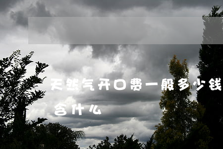 天然气开口费一般多少钱(天然气开口费都包含什么)
