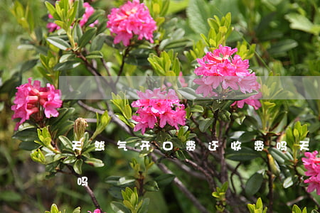 天然气开口费还收费吗(天然气开口费还收费吗)