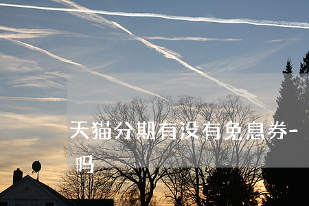 天猫分期有没有免息券-天猫分期免息可靠吗
