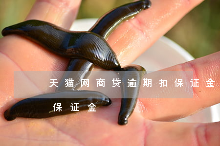天猫网商贷逾期扣保证金(天猫网商贷逾期扣保证金)