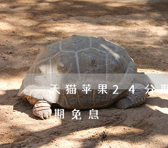 天猫苹果24分期免息(天猫iphone分期免息)