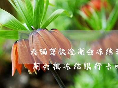 天猫贷款逾期会冻结支付宝吗(支付宝借呗逾期会被冻结银行卡吗)