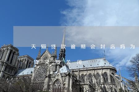 天猫贷款逾期会封店吗(为什么天猫店铺网商贷突然关闭)