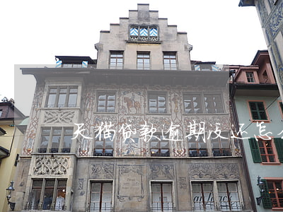 天猫贷款逾期没还怎么办(天猫贷款无力偿还)
