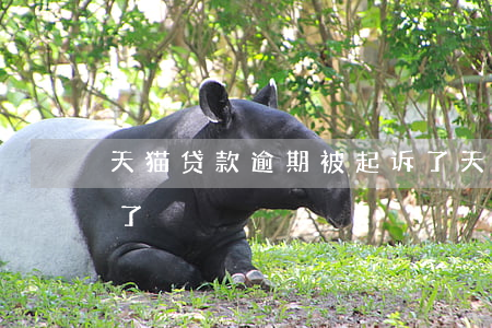 天猫贷款逾期被起诉了(天猫贷款逾期被起诉了)