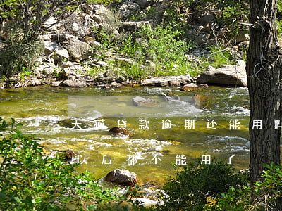 天猫贷款逾期还能用吗(借呗逾期十天是不是以后都不能用了?)