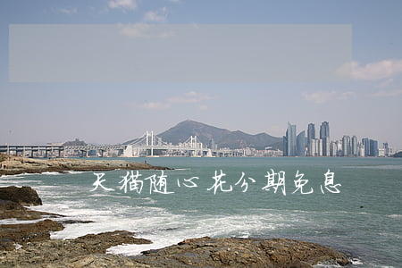 天猫随心花分期免息