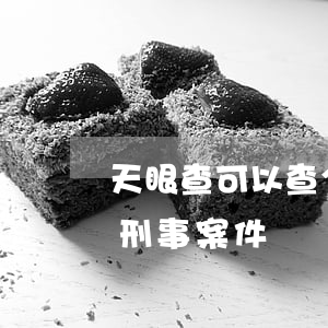天眼查可以查个人犯罪记录吗(天眼查怎么看刑事案件)