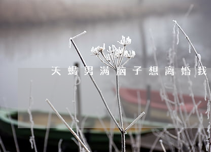 天蝎男满脑子想离婚我该怎么办