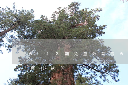 天貓12期免息分期券(天貓的12期免息,如何付款的)