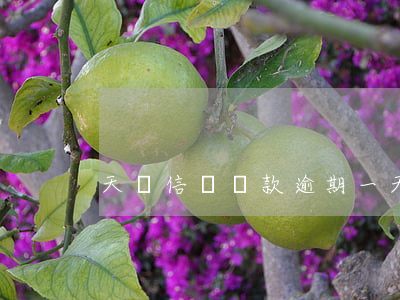 天貓信譽貸款逾期一天