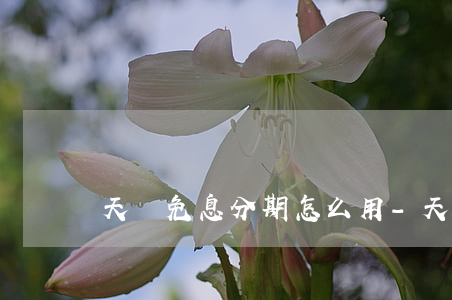 天貓免息分期怎么用-天貓免息分期怎么用