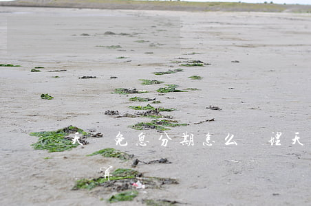 天貓免息分期怎么辦理(天貓免息分期買手機劃算嗎)