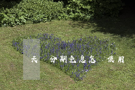 天貓分期免息怎樣使用