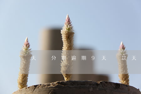 天貓分期逾期9天還款(天貓分期還能退貨嗎)