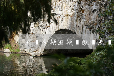 天貓分期逾期還款嗎(天貓分期付款怎么還)