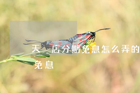 天貓店分期免息怎么弄的（天貓店鋪怎么分期免息）